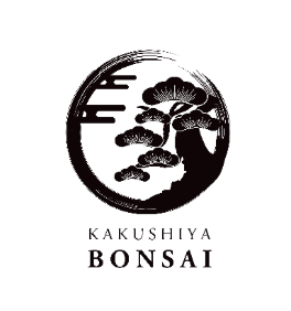 KAKUSHIYA BONSAI - D-system導入店